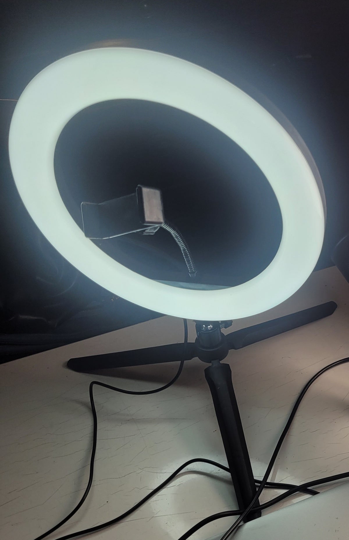 Stenaustin 26 cm Tabletop Ring Light with Phone Holder